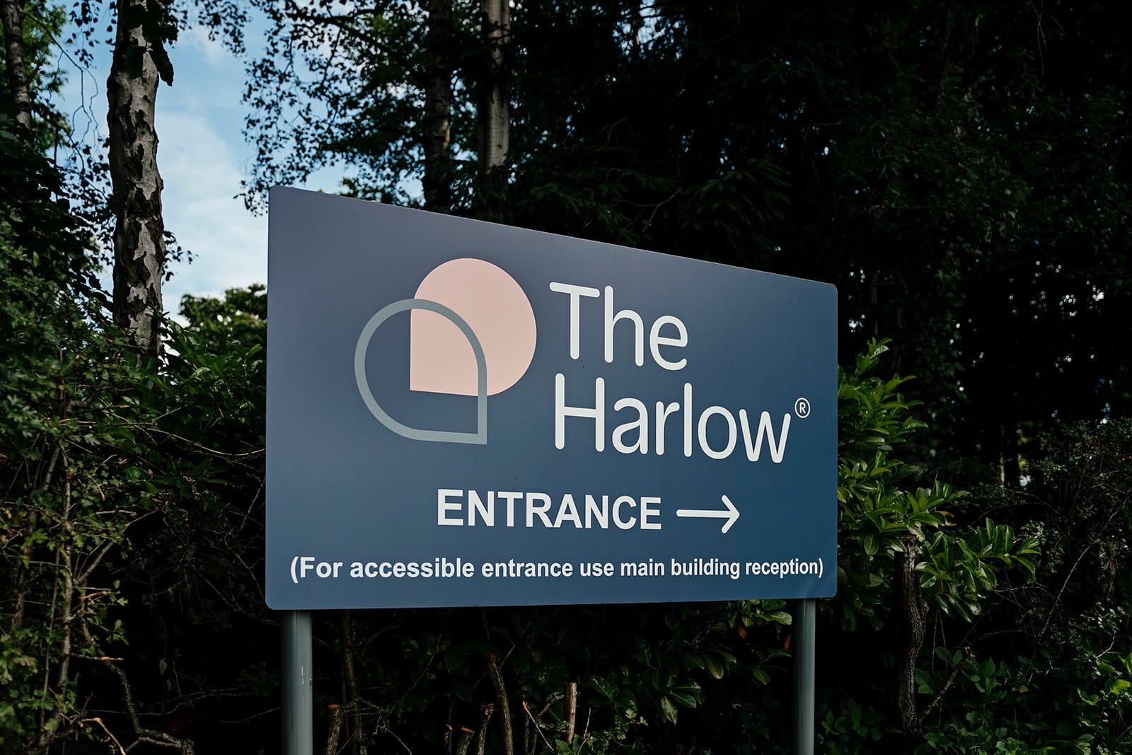 The Harlow