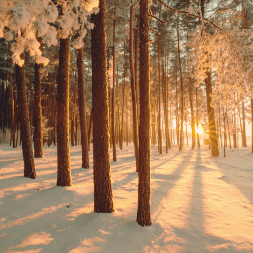 Presence not Presents!