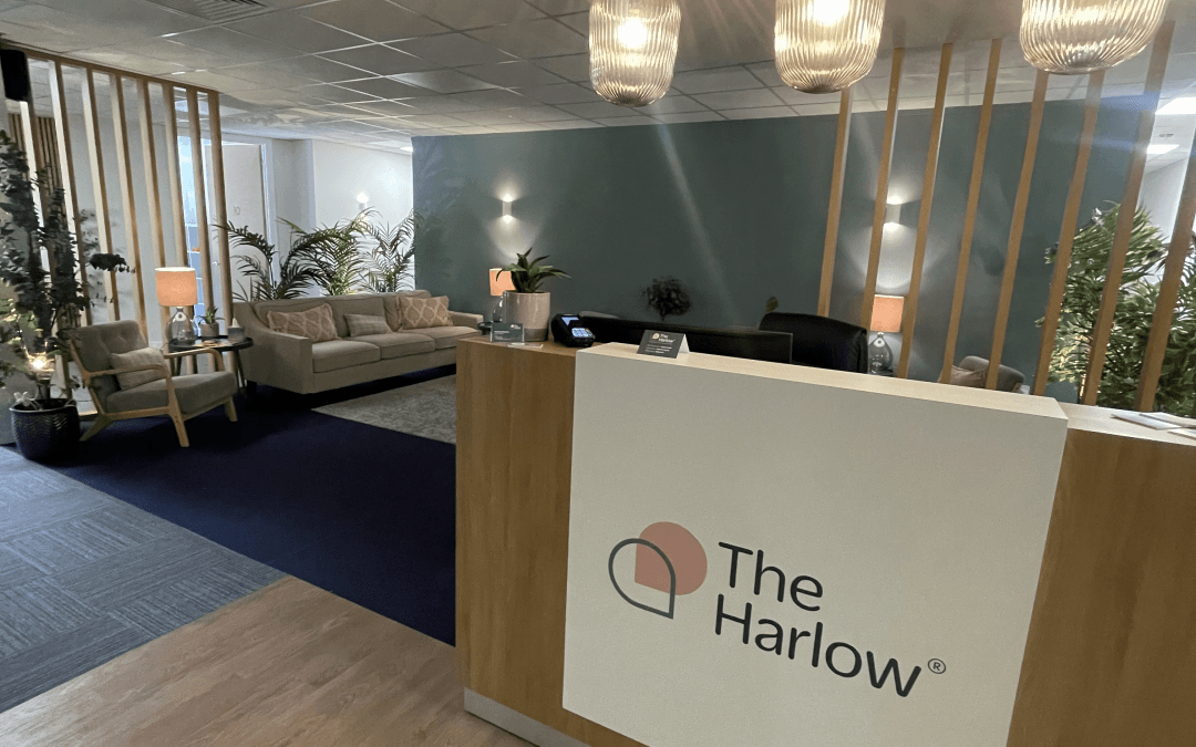 Why The Harlow Therapy Rooms Are a Hidden Gem